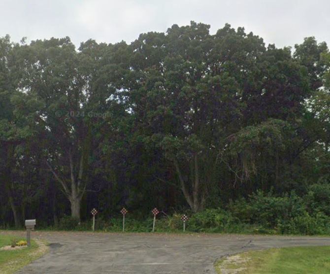 Lot 4 Windmill Road - 5 Acres - $275,000 photo 2